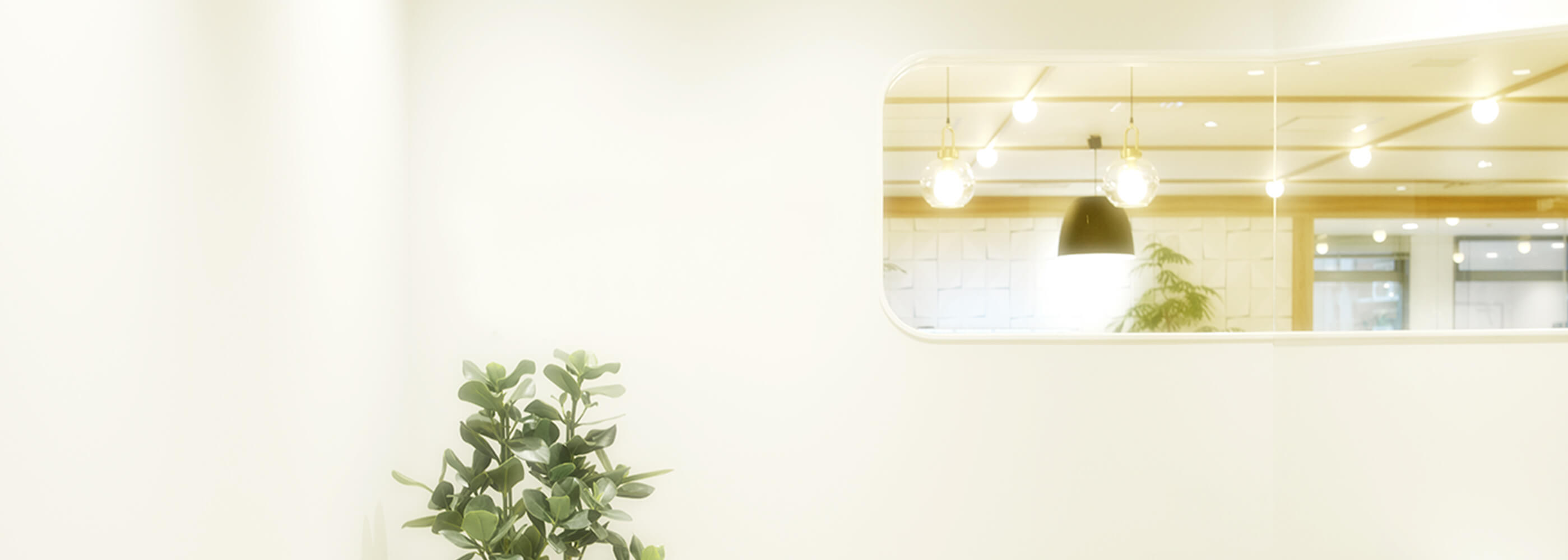 メインビジュアル画像