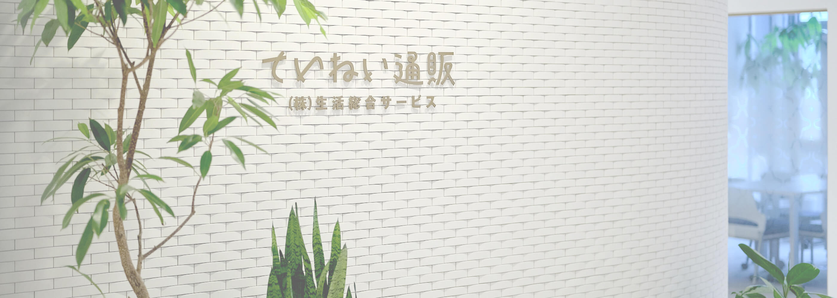 メインビジュアル画像