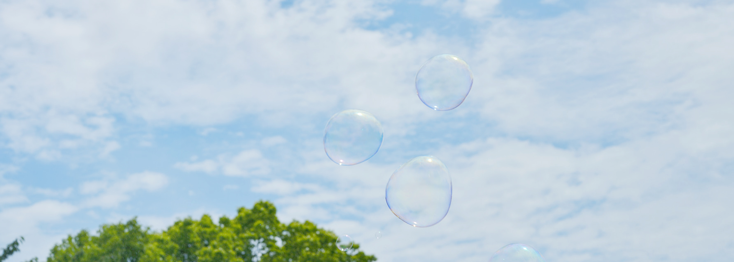 メインビジュアル画像