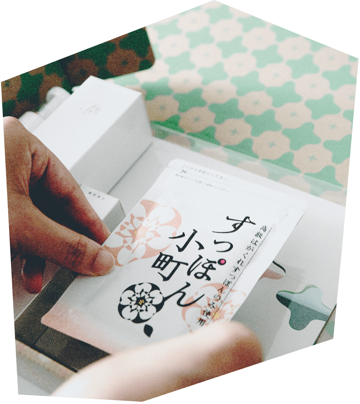 すっぽん小町の画像