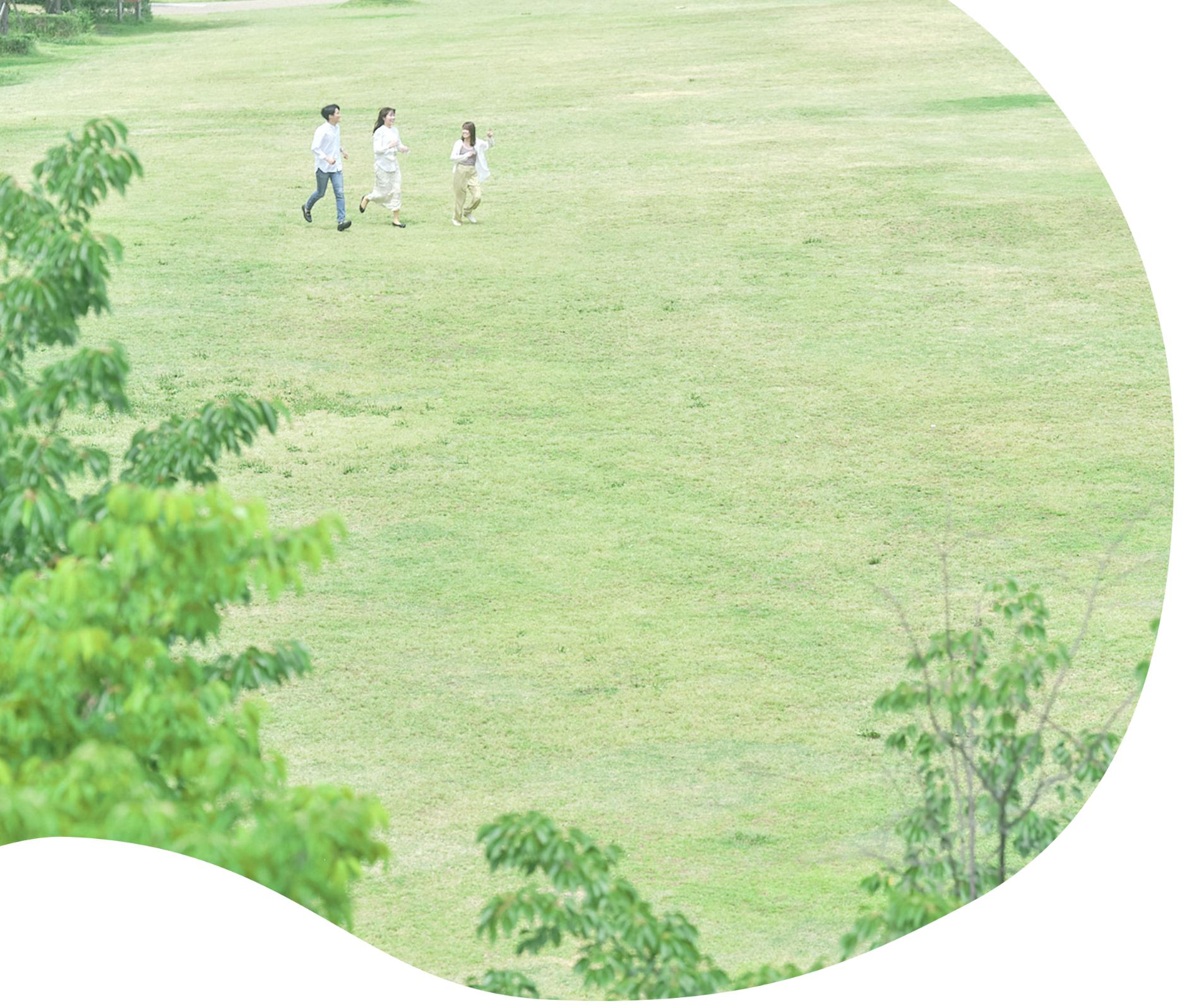 メインビジュアル画像